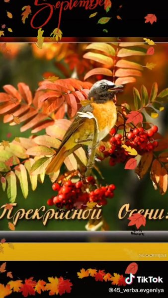 Доброго дня птицы осень