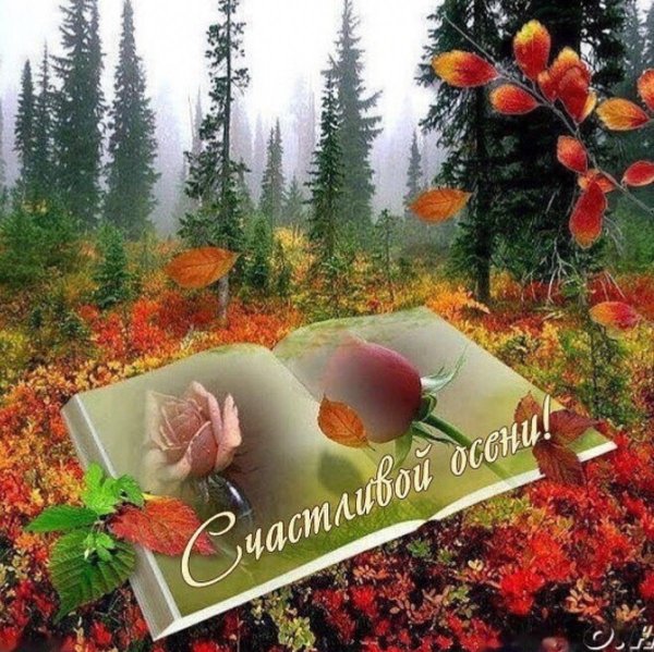 Счастливого дня осени