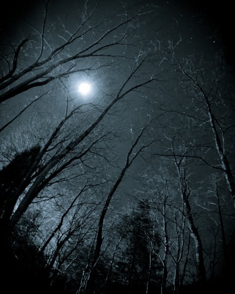 Ночная тьма