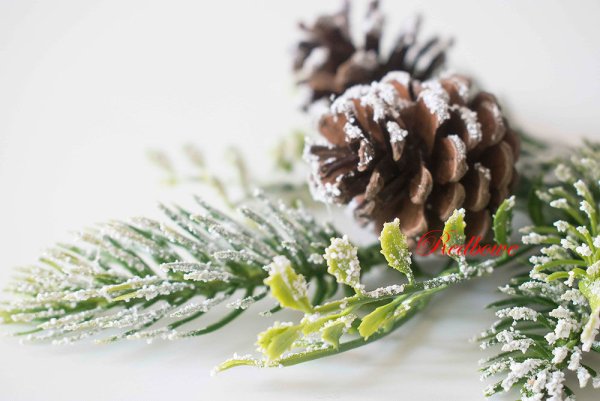 Ветка с шишками