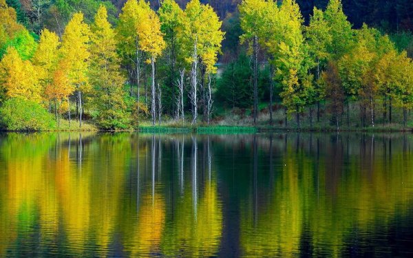 Осенний пейзаж