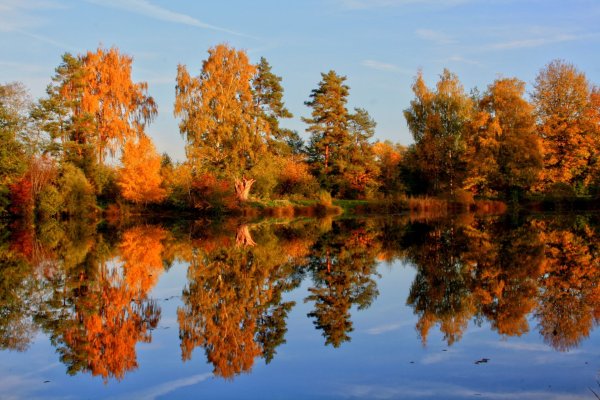 Природа осень