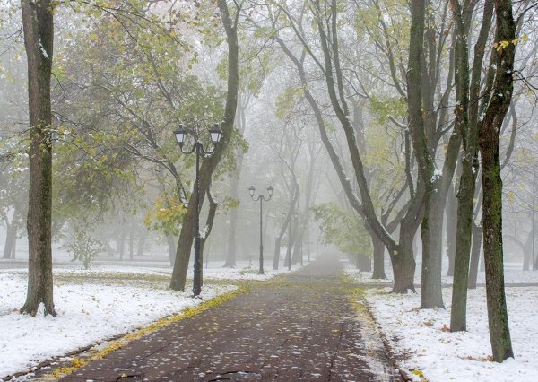 Поздняя осень аллея