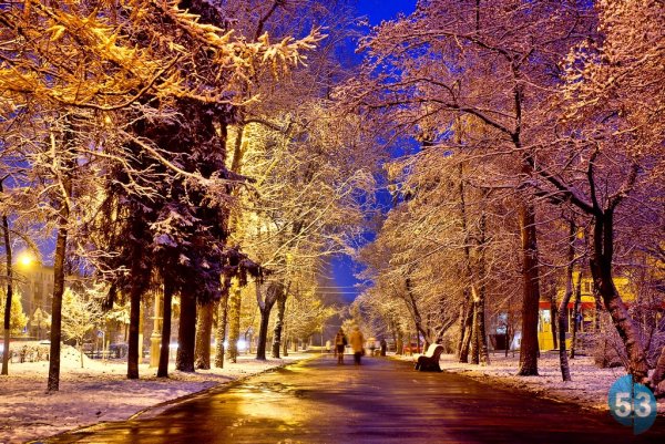 Зимний парк в городе