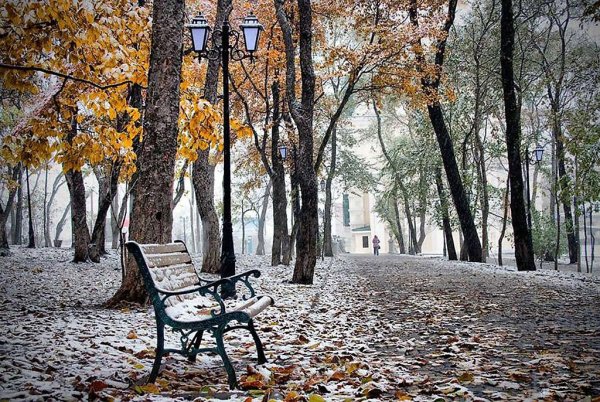 Ноябрь в городе