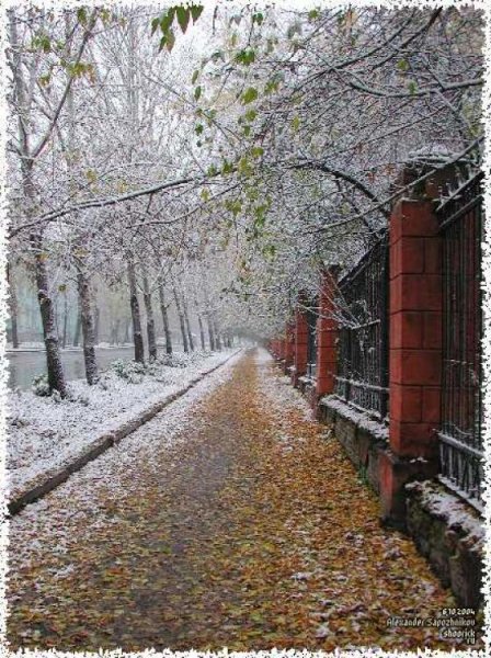 Снежная осень в городе