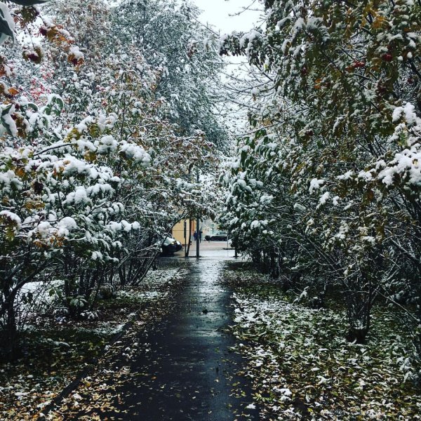 Первый снег в городе