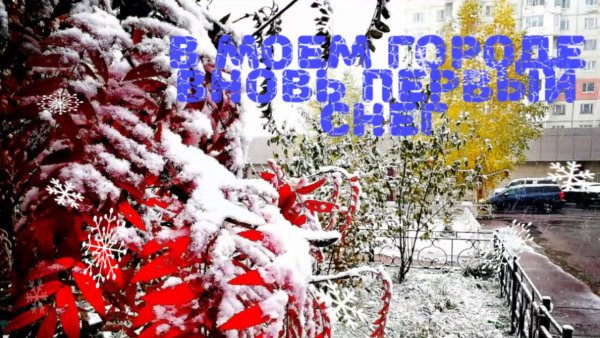 В моём городе вновь первый снег