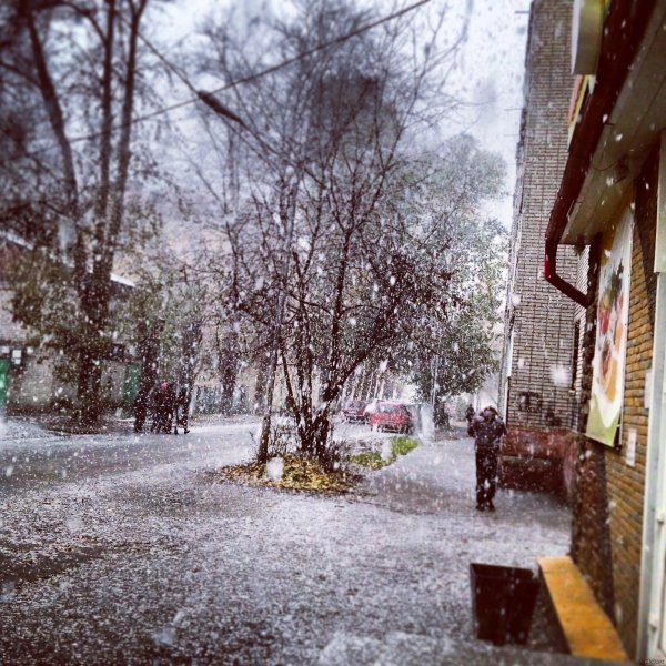 Первый снег на улице