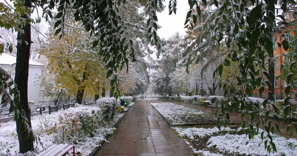 Первый снег в городе