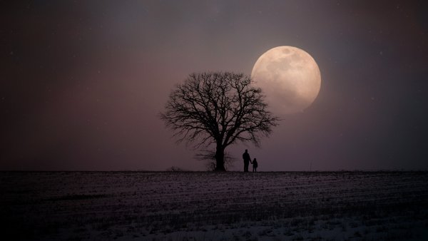 Ночь Луна