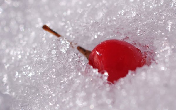 Черешня на снегу