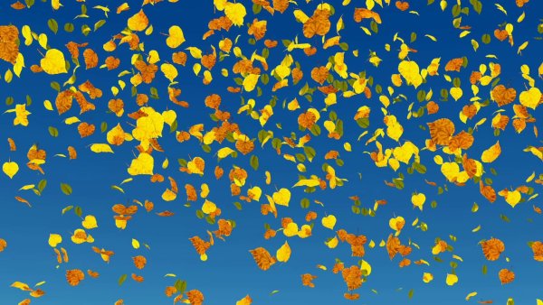 Падающие листья