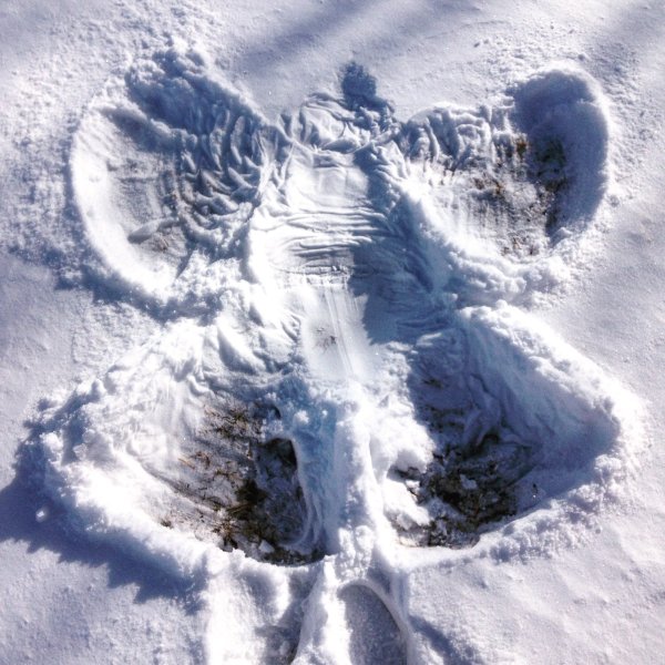 Снежный ангел 2004