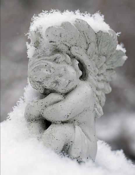 Ангел из снега