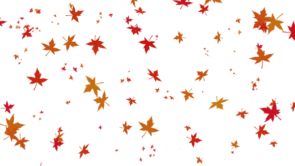 Падающие листья на прозрачном фоне