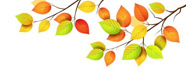 Ветка с осенними листьями