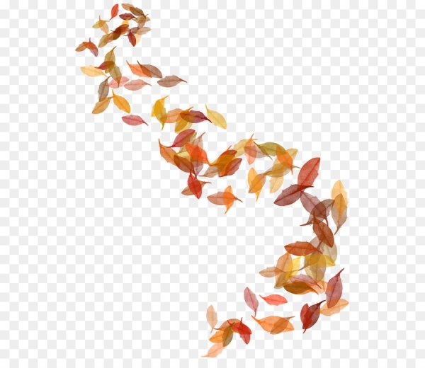 Осенняя листва на прозрачном фоне