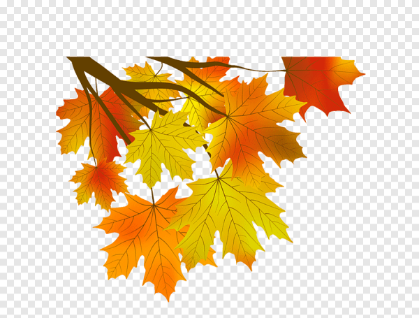 Осень клипарт