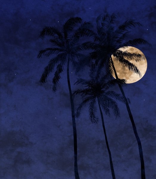Ночное море с пальмами