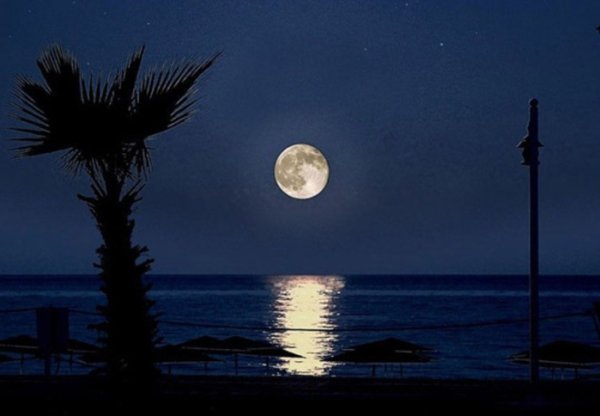 Луна море Пальма