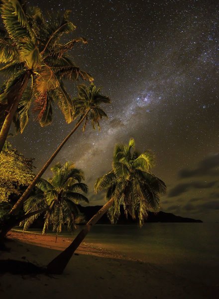 Звездное небо пальмы