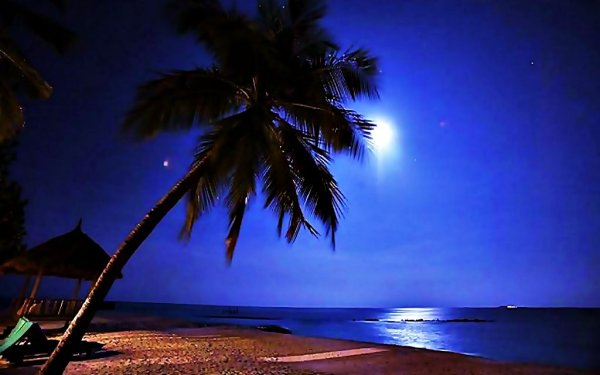 Ночной пляж