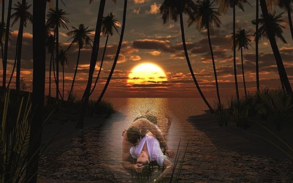 Вечер в тропиках