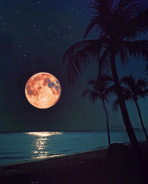 Ночь в море