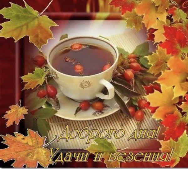 С добрым осенним утром субботы