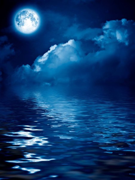 Ночь Луна