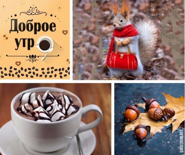 Доброе утро октября