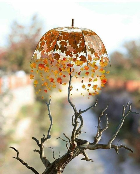 Дождливое утро осени