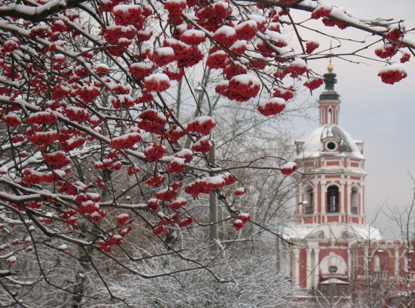 Храм Владимир Рябиновая