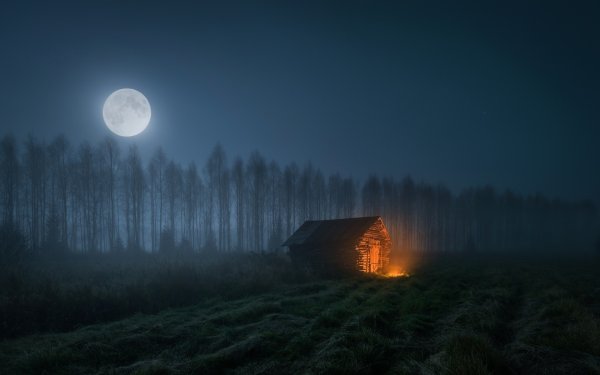Луна в лесу