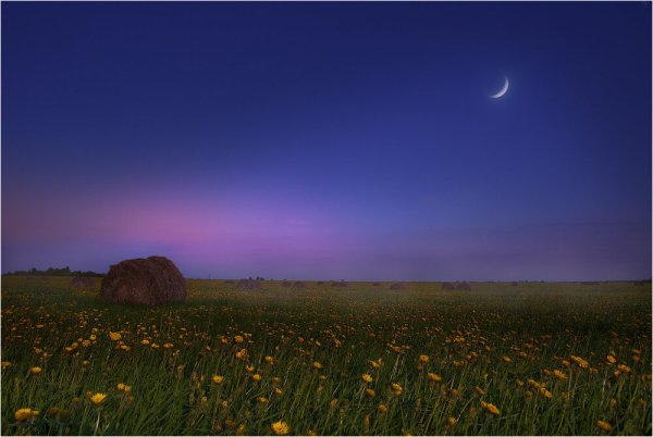 Летняя ночь в поле