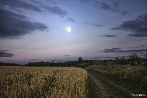 Луна в степи
