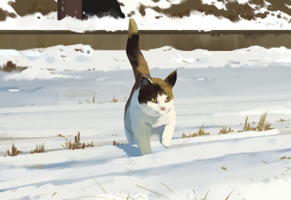 Кошка идет по снегу