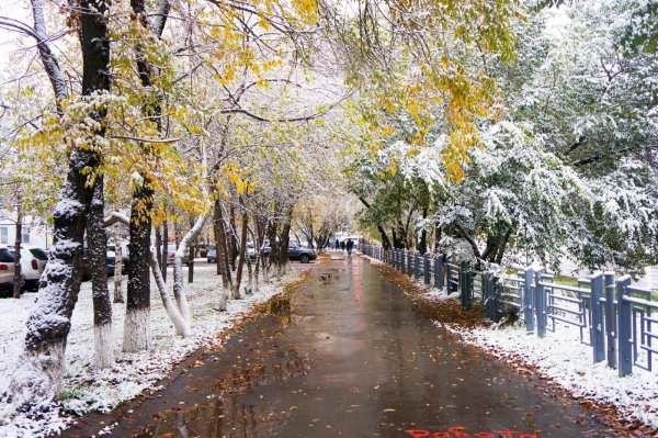 Ранняя зима в городе