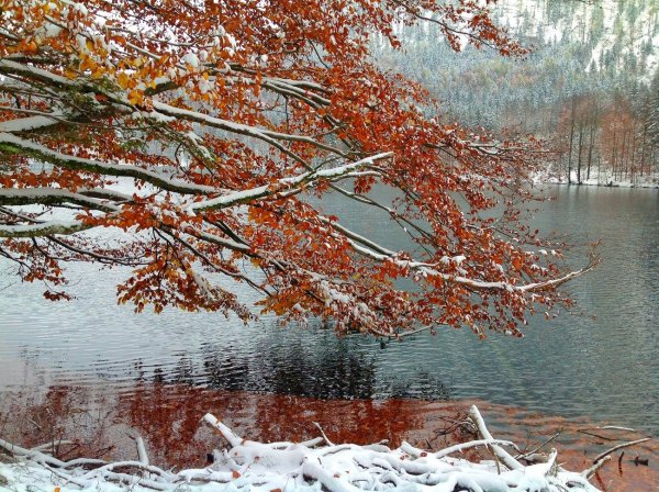 Поздняя осень снег