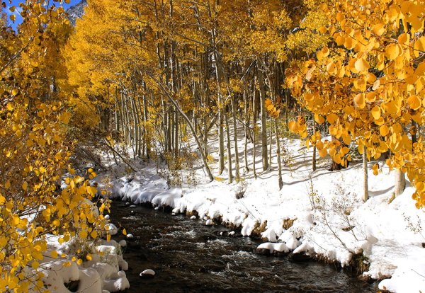 Осень снег река