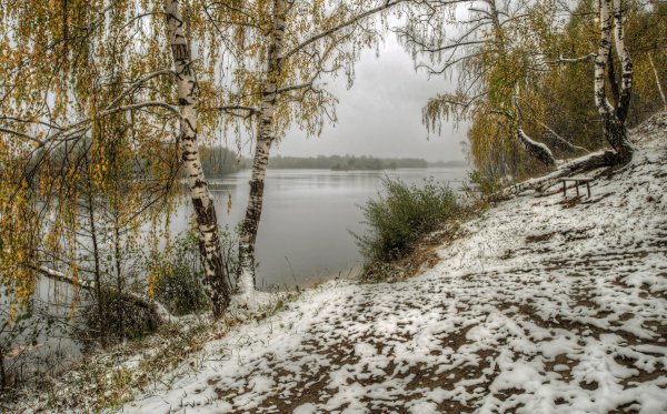 Первый снег на озере