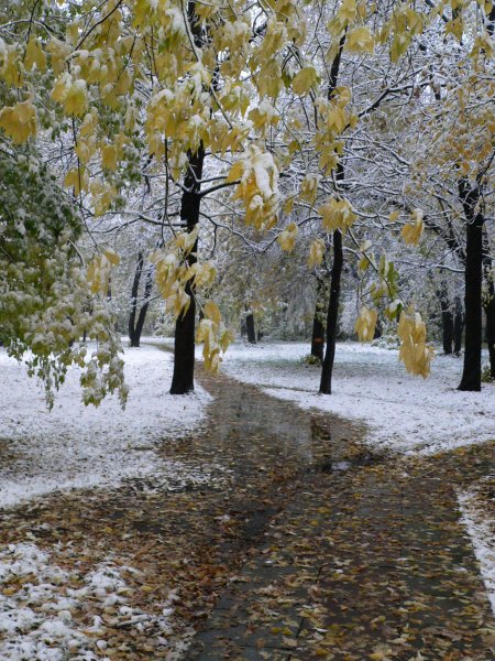 Ранняя зима