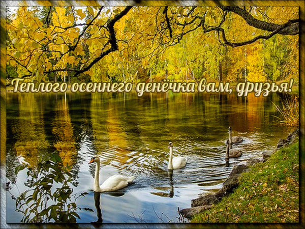 Теплого осеннего денечка