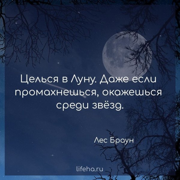 Целься в луну