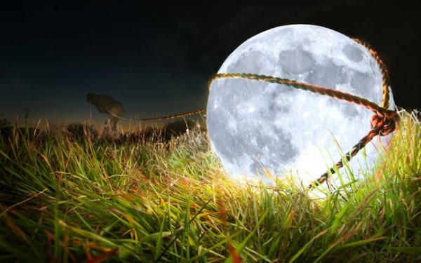 Картинки целиться в луну