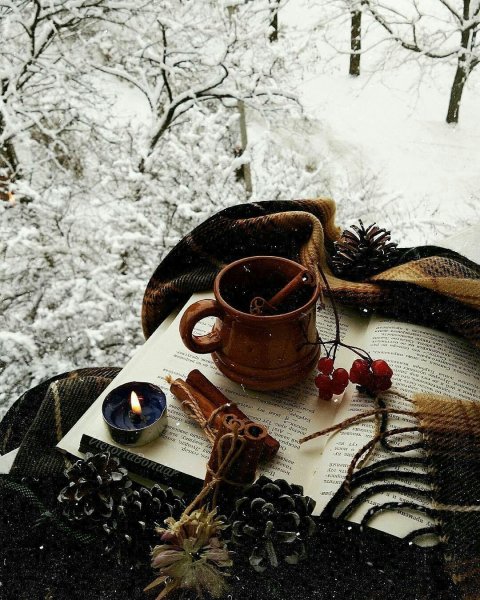 Зимнее чаепитие