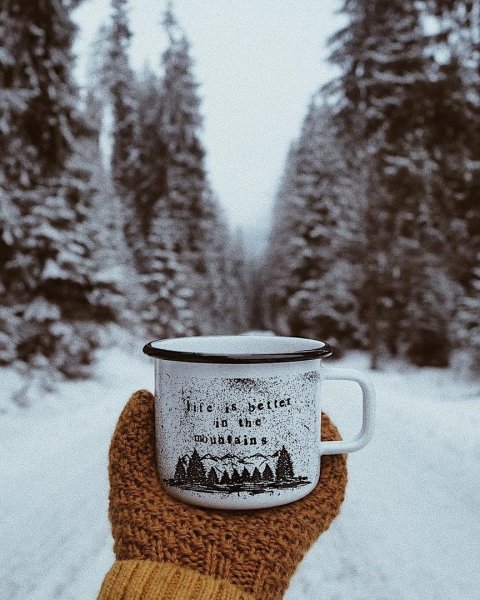 Кофе в зимнем лесу