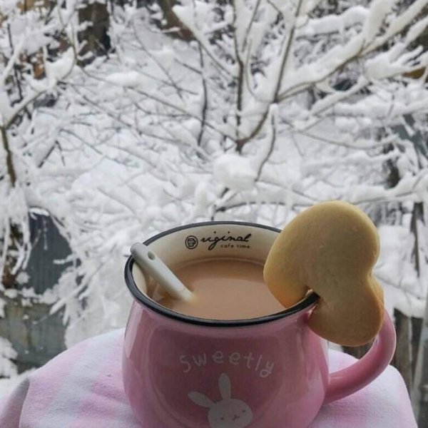 Чашка чая зимой