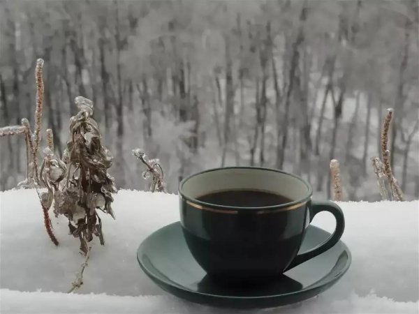 Чашка кофе в зимнем лесу
